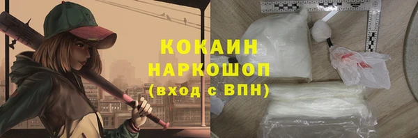 сатива Богданович
