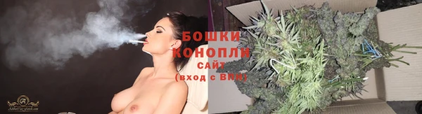 сатива Богданович