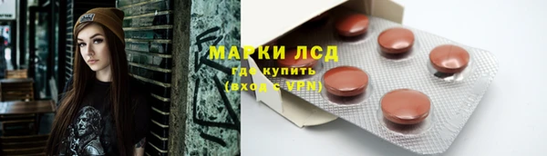 сатива Богданович