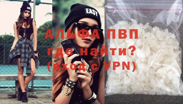 прущие грибы Бородино