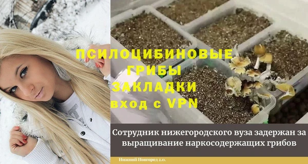 ALPHA-PVP Богородск
