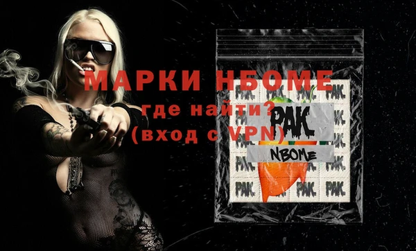 прущие грибы Бородино