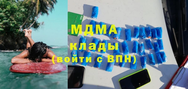прущие грибы Бородино