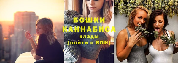 сатива Богданович