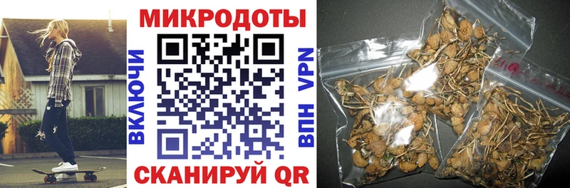 Галлюциногенные грибы Psilocybe  Красавино 